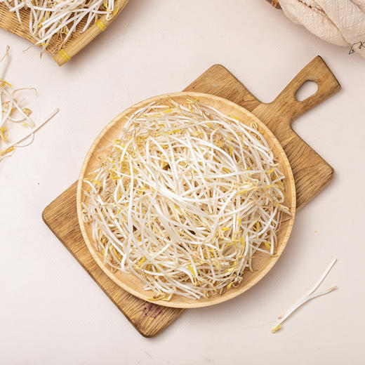 绿豆芽 约500/份 商品图3