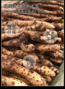 京东发货，正宗温县【垆土铁棍山药】垆土种植，好香、好粉、好糯！进补首选~