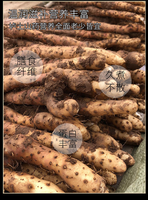 京东发货，正宗温县【垆土铁棍山药】垆土种植，好香、好粉、好糯！进补首选~ 商品图0