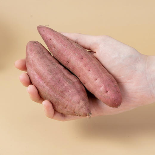 红薯 约500g/份 商品图1