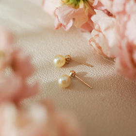 akoya羽皇金珠系列 | 海水珍珠，浪漫独特又贵重