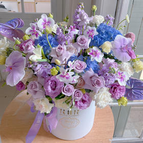 《仙境绮梦》梦幻优雅蝴蝶兰紫色抱抱桶