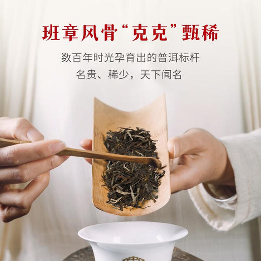中粮-中茶2022年中茶班章五寨普洱茶生茶300克/饼 /云南干仓直发 商品图3