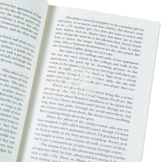 【中商原版】芒果街上的小屋 + 麦田里的守望者 英文原版 小说原著 The House on Mango Street /The Catcher in the Rye 商品图3