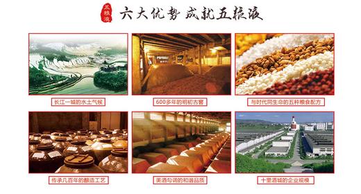 52度1618五粮液 商品图5