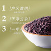 金贞熙墨江紫米（新鲜直供，真空包装） 商品缩略图2