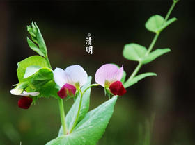 风景清明后，云山睥睨前