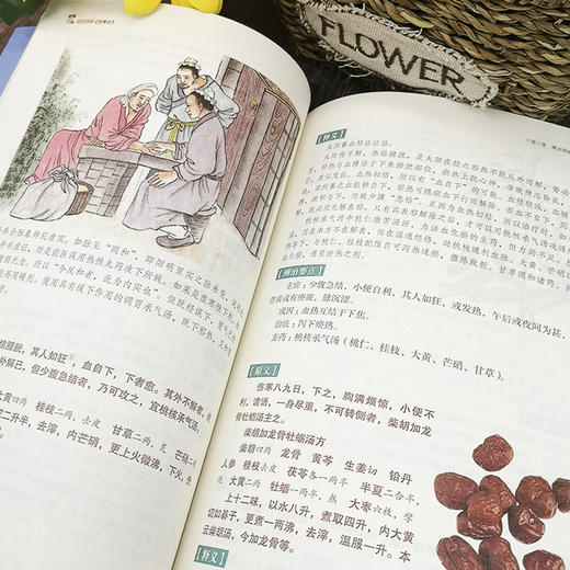【9.9元包邮】彩色图解版 伤寒杂病论张仲景正版国学经典 中医基础理论医学书籍 中医书籍养生大全 中医临床书 国学经典 医学四大经典著作之一 商品图4