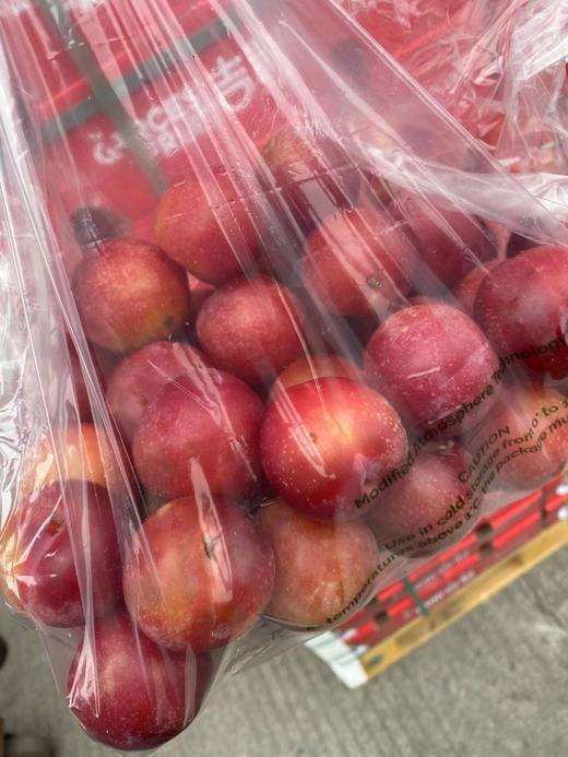 周四取货：【大G 樱桃李5J】一盒400克左右，颗粒饱满，酸酸甜甜，美味可口！ 商品图3
