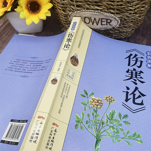 【9.9元包邮】彩色图解版 伤寒杂病论张仲景正版国学经典 中医基础理论医学书籍 中医书籍养生大全 中医临床书 国学经典 医学四大经典著作之一 商品图2