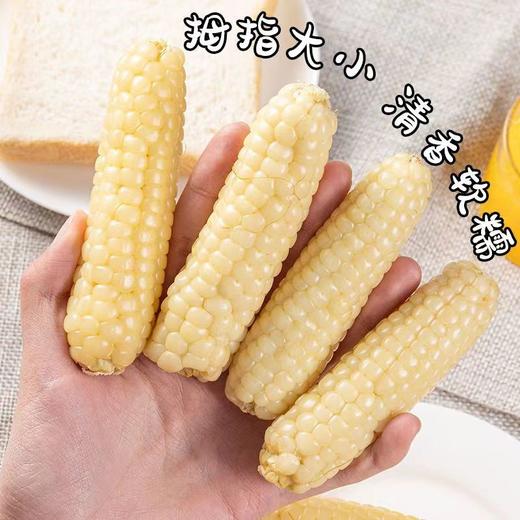 婉娜塔妮牌西双版纳拇指玉米1kg/袋 商品图1