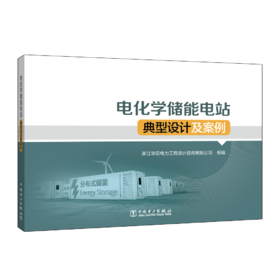 电化学储能电站典型设计及案例