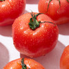 「够鲜！够嫩！够酸甜！」绿行者普罗旺斯西红柿番茄 3斤/5斤装  酸爽可口解腻 皮薄沙瓤多汁 商品缩略图6
