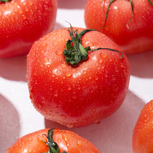 「够鲜！够嫩！够酸甜！」绿行者普罗旺斯西红柿番茄 3斤/5斤装  酸爽可口解腻 皮薄沙瓤多汁 商品图6