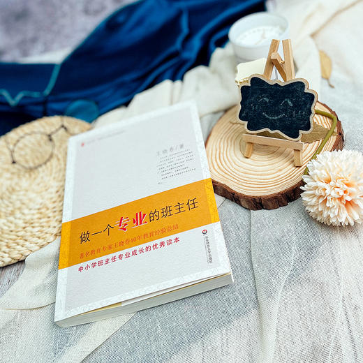 做一个专业的班主任 王晓春著 大夏书系 商品图4