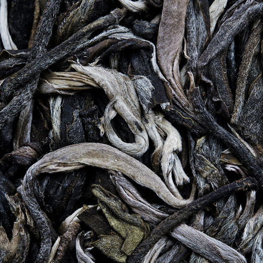 【天后】2017年古树头春茶78座名山头精心拼配重磅高奢品应该口感顶峰拍3发5拍6发10 商品图1