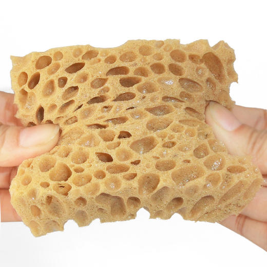 德国pedag清洁海绵刷芝士型813 商品图2