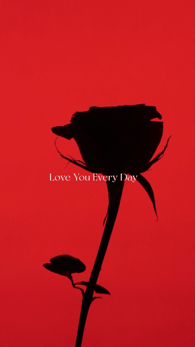 情人节送礼指南