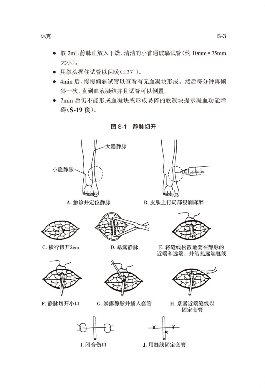 33404(yz) (3).jpg