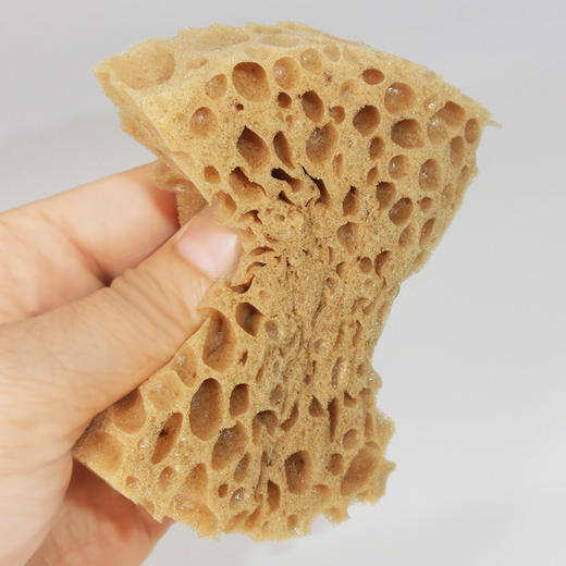 德国pedag清洁海绵刷芝士型813 商品图3