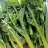 【产地直邮】湖北恩施硒油菜苔，清甜，鲜嫩，可口，当天采摘当天发货，产地直发；2月3日下午14点截单 商品缩略图0