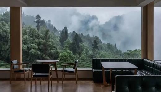 邛崃民宿好评天花板🎐【邛崃竹上花楸民宿】周末不加价
🍃竹海相拥，茶香四溢，度假好去处！ 商品图4