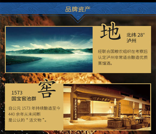 国窖1573 商品图3