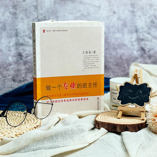 做一个专业的班主任 王晓春著 大夏书系 商品图2