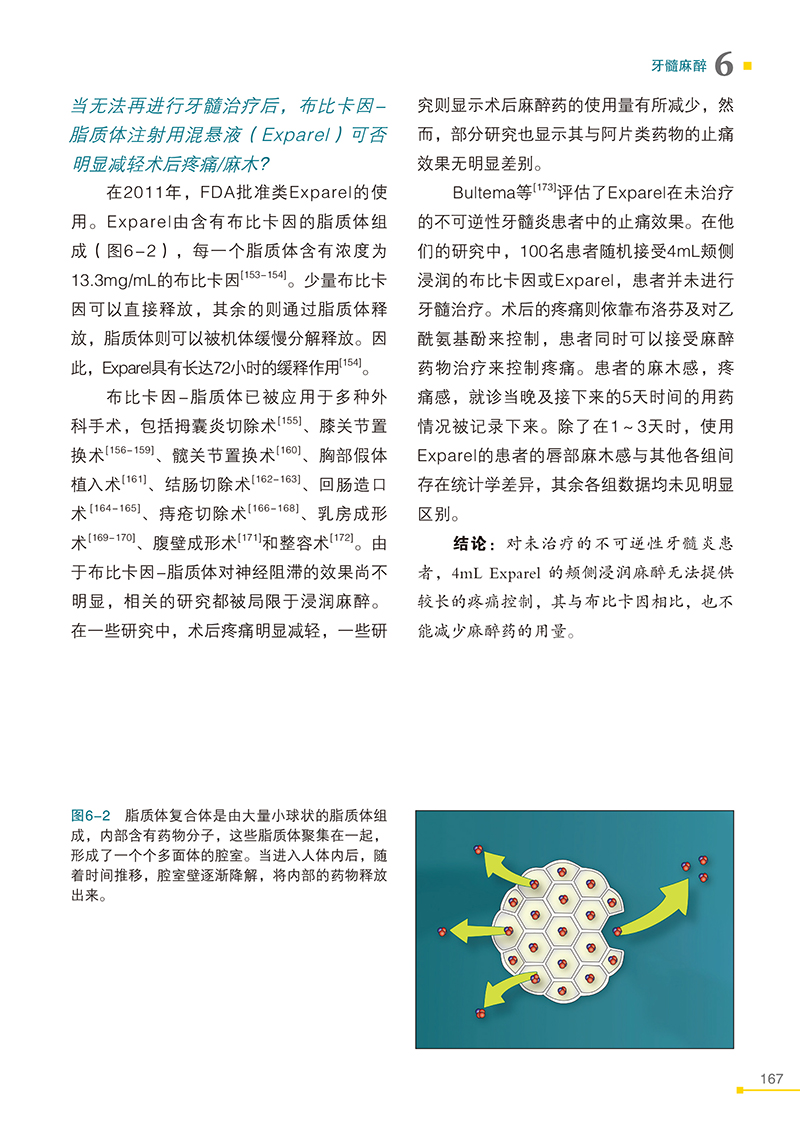 口腔局部麻醉精要-精彩页-1.jpg