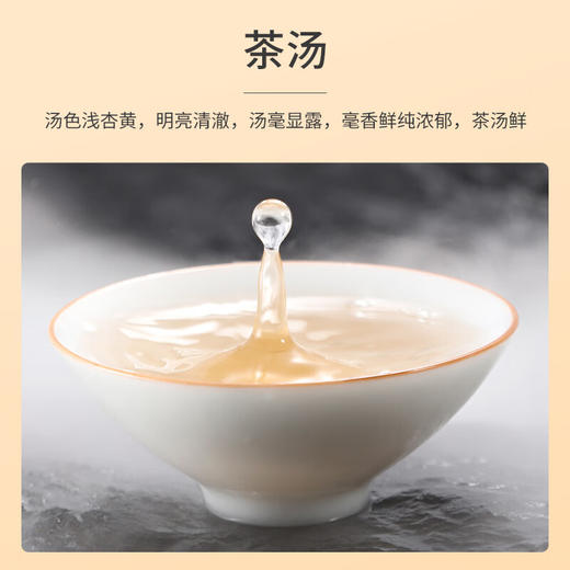 祥源茶 白毫银针 2022年 首春芽 50g 商品图3