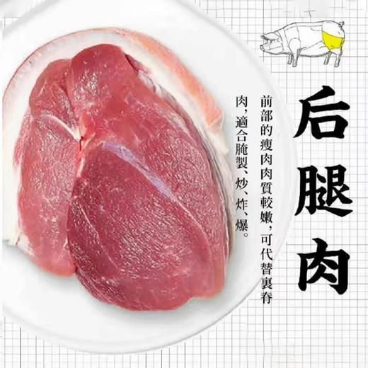 有机黑猪肋排----【有机黑猪肉家庭组合装3斤】 商品图1