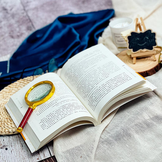 做一个专业的班主任 王晓春著 大夏书系 商品图7