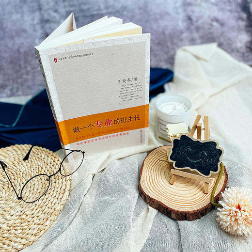 做一个专业的班主任 王晓春著 大夏书系 商品图3