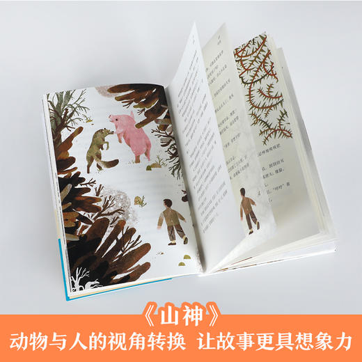 【乐乐趣】全新品牌“儿屿”儿童文学万物有灵系列（4册） 商品图3