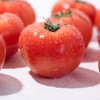 「够鲜！够嫩！够酸甜！」绿行者普罗旺斯西红柿番茄 3斤/5斤装  酸爽可口解腻 皮薄沙瓤多汁 商品缩略图5