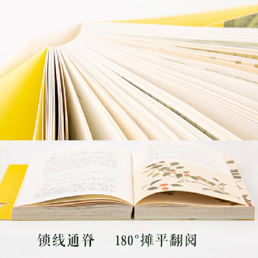 图解本草纲目（生活实用版，穿越千年的生活养生指南，丰富多彩的博物志） 商品图3