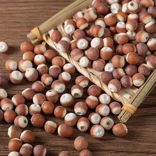 金贞熙芡实（新鲜直供，真空包装） 商品图3