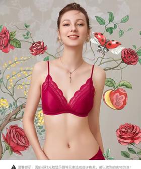 5F EmbryForm安莉芳 小胸桑蚕丝无钢圈三角杯文胸女薄款蕾丝法式文胸