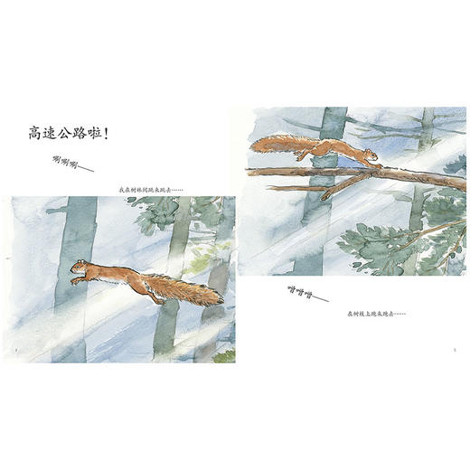 东方娃娃 吃啊吃，藏啊藏 3-6岁平装动物绘本图画故事书 讲述松鼠爱吃爱藏得特点轻松科普书籍 商品图1