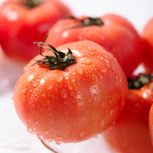 普罗旺斯西红柿番茄 5斤装 FX-A-2261-240410 商品图3