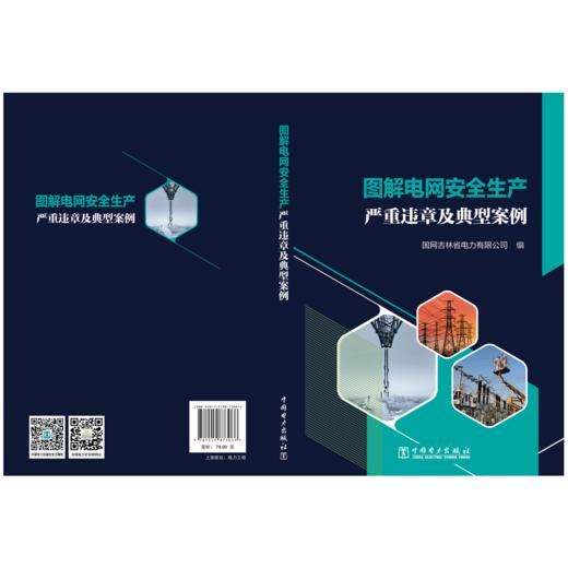 图解电网安全生产严重违章及典型案例 商品图2