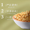 金贞熙黄豆（新鲜直供，真空包装） 商品缩略图2