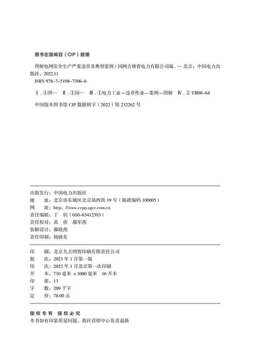 图解电网安全生产严重违章及典型案例 商品图3