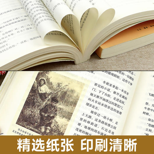 经典常谈朱自清钢铁是怎样炼成的傅雷家书初中正版原著人民教育出版社八年级下册必读课外书老师推荐文学名著完整版初二书籍人教版 商品图4