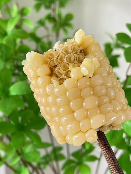 【甜糯玉米】香、甜、软、糯，QQ弹弹颗颗如珍珠一样 商品图2