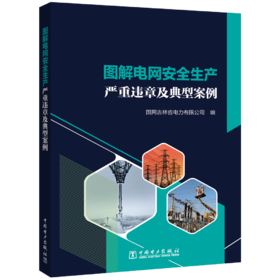 图解电网安全生产严重违章及典型案例