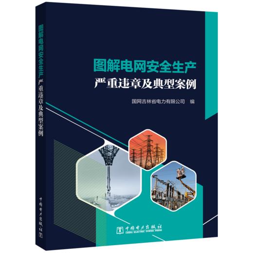 图解电网安全生产严重违章及典型案例 商品图0