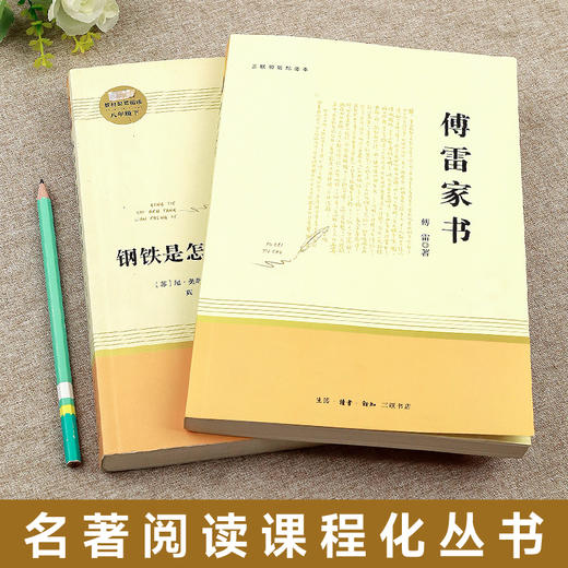 经典常谈朱自清钢铁是怎样炼成的傅雷家书初中正版原著人民教育出版社八年级下册必读课外书老师推荐文学名著完整版初二书籍人教版 商品图1
