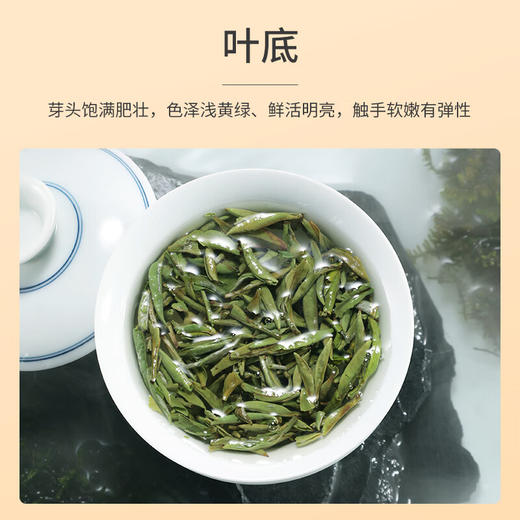 祥源茶 白毫银针 2022年 首春芽 50g 商品图2
