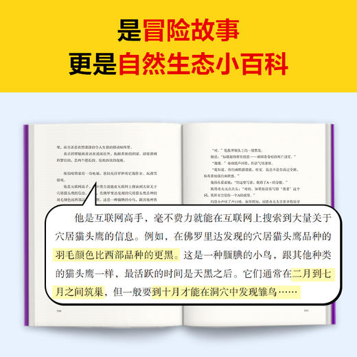 【小读客】拯救猫头鹰系列·大自然狂野冒险小说 冒险很酷，坚持做正确的事情更酷！纽伯瑞儿童文学奖儿童文学平装11~14岁 商品图5